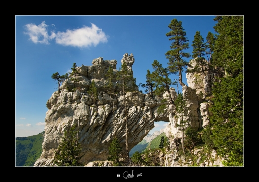 2011-07-05 / NeroPsylo
Par NeroPsylo dans [ Montagnes ]
