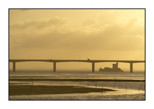 2013-08-02 / lavacherouge
lavacherouge    " 06 Oleron - Le pont "
