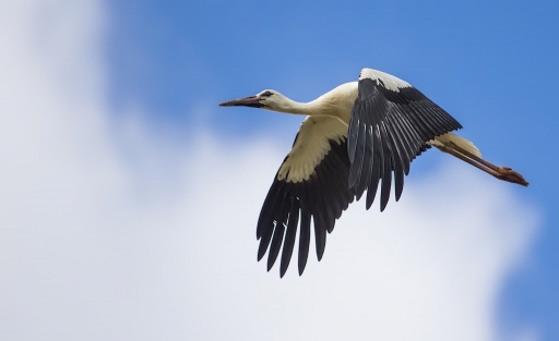 Novembre 2012 - dedales
Novembre 2012 - dedales
