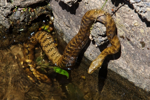 Aout 2012 - david81
Aout 2012 - david81
