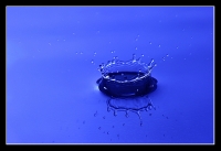 Nom du fichier=imgp3145redim.jpg
Taille du fichier=187Ko
Dimensions : 800x548
Ajouté le : 22 Septembre 2010 imgp3145redim.jpg