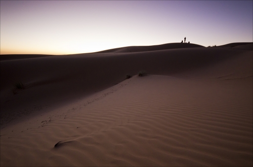 2014-03-24 / pierrot73210
pierrot73210 "Vous prendrez bien un peu de desert ?"
