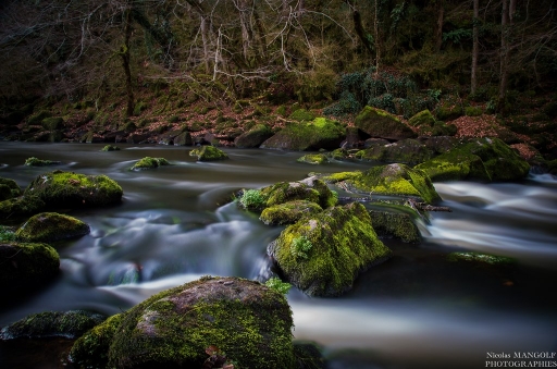 2015-11-30 / nicolas03
nicolas03 [ Paysages et elements naturels ] 
