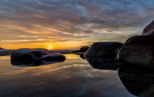 2017-11-17 neosilencers
neosilencers [Paysages et elements naturels]
