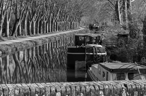 2018-04-07  Pech_les oies
Pech_les oies  [Environnement urbain et constructions humaines]
