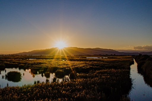 2021-10-28 jagulian
jagulian [Paysages et éléments naturels]
