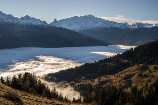 2022-11-30  pierrot73210
pierrot73210 [Paysages et éléments naturels]
