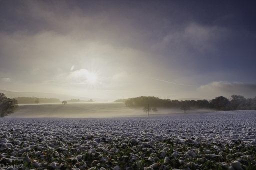 2022-12-22 ducatst2
ducatst2 [Paysages et éléments naturels]
