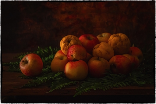 2024-01-04 Opus21
Opus21 [Natures mortes, photos d'objets]
