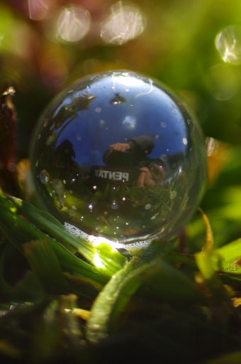 2017-04-21 yuma
yuma [Natures mortes, photos d'objets] 
