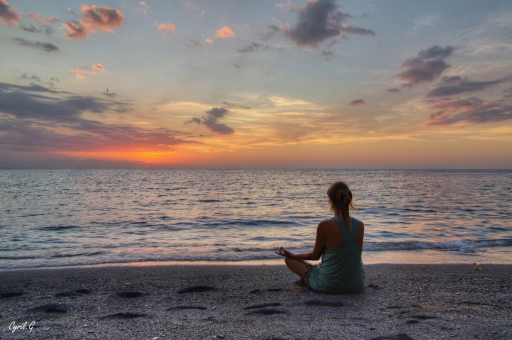 2020-01-24 CarpoDingo
CarpoDingo [Paysages et éléments naturels]
