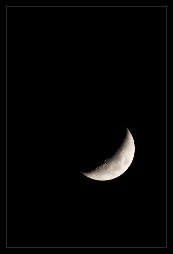 2013-03-17 / Gko
Gko [ Astrophotographie ]
