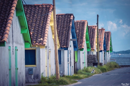 2019-10-25 Daenelyn
Daenelyn  [Environnement urbain et constructions humaines]
