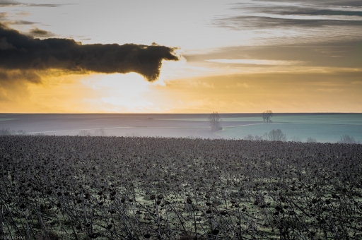 2014-01-14 / galuchar
Galuchar  [ Paysages ]
