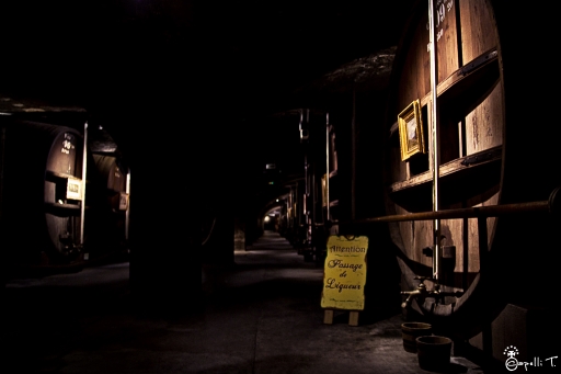 2013-10-28 / NeroPsylo
NeroPsylo [ Studio & inclassables ]
