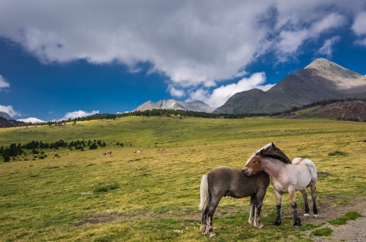 2013-12-30 SPentaxQR
SPentaxQR [ Paysages ]
