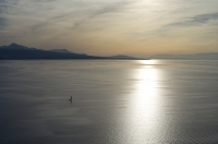 Nom du fichier=10544807194_e61ceeddf3_o.jpg
Taille du fichier=317Ko
Dimensions : 1024x678
Ajouté le : 29 Octobre 2013 10544807194_e61ceeddf3_o.jpg