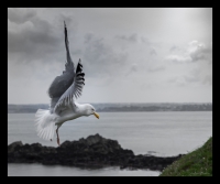 Nom du fichier=14021609372615173311987203.jpg
Taille du fichier=271Ko
Dimensions : 958x800
Ajouté le : 16 Février 2014 14021609372615173311987203.jpg