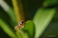 Nom du fichier=14062204482916975412336301.jpg
Taille du fichier=219Ko
Dimensions : 900x600
Ajouté le : 22 Juin 2014 14062204482916975412336301.jpg