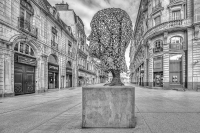 Nom du fichier=20102805413525656917100022.jpg
Taille du fichier=423Ko
Dimensions : 1200x801
Ajouté le : 05 Novembre 2020 20102805413525656917100022.jpg