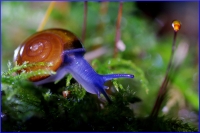 Nom du fichier=201223083045515768.jpg
Taille du fichier=342Ko
Dimensions : 1024x684
Ajouté le : 23 Décembre 2020 201223083045515768.jpg