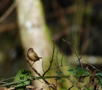 Nom du fichier=78_252_15_32-622792d14ecc2.jpg
Taille du fichier=469Ko
Dimensions : 1280x1135
Ajouté le : 08 Mars 2022 78_252_15_32-622792d14ecc2.jpg