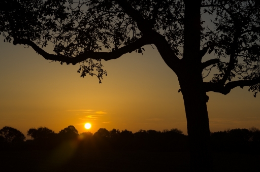 2012-10-26/neosilencers
Par neosilencers dans [ Coucher / Lever de soleil ]
