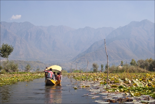 2013-12-06/pierrot73210
Pierrot73210 "Kashmir"
