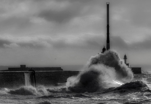 2014-01-31/step55
step55 [ La mer, l'ocean ]
