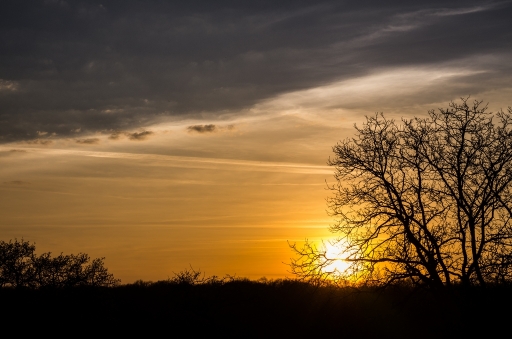 2014-03-21/neosilencers
neosilencers [ Coucher / Lever de soleil ]
