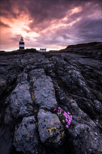 2014-04-04/pierrot73210
pierrot 73210 "Balade irlandaise"
Mots-clés: http://www.pentaxone.fr/component/option,com_smf/Itemid,28/topic,18652.msg1892290/#msg1892290