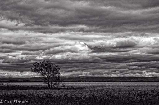 2014-11-21/carlJF
CarlJF [ Noir et Blanc, Sepia et desaturation partielle ]
