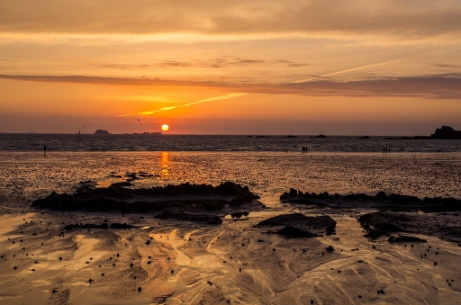 2015-08-21/neosilencers
neosilencers [ Coucher / Lever de soleil ]
