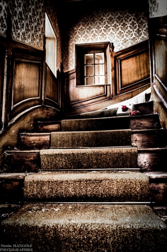 2015-11-06/nicolas03
nicolas03 [Natures mortes, photos d'objets]
