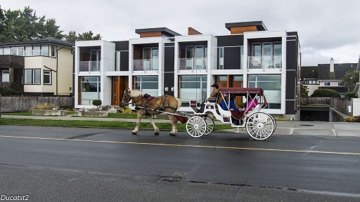 2016-02-12/Ducast2
Ducast2 "Victoria, British Columbia"
