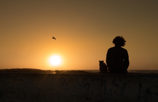 2016-04-29/Olilignan
Olilignan [Environnement urbain et constructions humaines]
