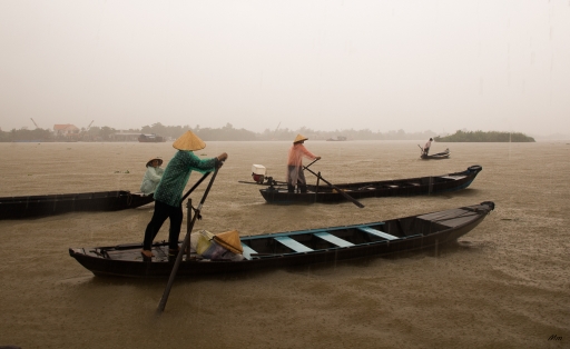 2016-02-13 novice du 11
novice du 11 [Paysages et elements naturels]
