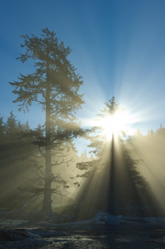 2017-09-14 Dan2
Dan2 "Mont Rainier et Olympic National Park (USA)"
