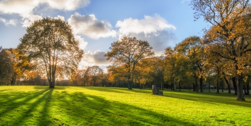 2017-11-23 step55
step 55 [Paysages et elements naturels]
