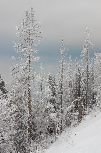 2018-01-03 ASM
ASM [Paysages et elements naturels]
