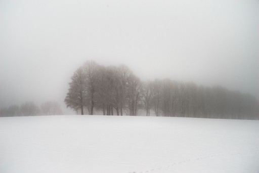 2018-02-17 Kadix Le Gaulois
Kadix Le Gaulois [Paysages et elements naturels]
