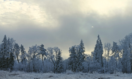 2018-01-18 charlysouho
charlysouho [Paysages et elements naturels]
