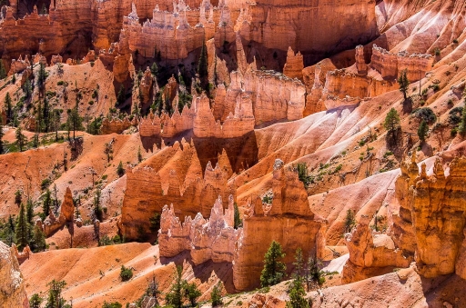 2016-01-15/DS29
DS29 "Far West part 4 : Zion & Bryce"
