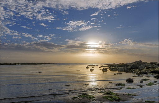 2015-08-07/Kobaia
Kobaia [ La mer, l'ocean ]
