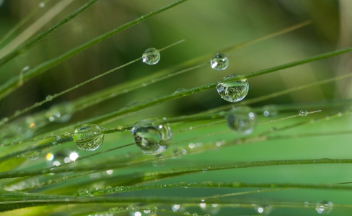 2013-05-03/phoenix1366
phoenix1366 [Gouttes]
