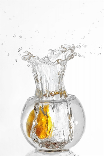 2016-07-12/kobaia
Kobaia [Splash - Le defi de juin-juillet-aout]
