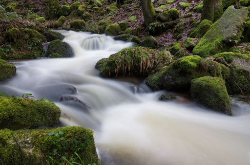 2013-02-01/neosilencers
neosilencers  [ Plans d'eau / Rivieres ]
