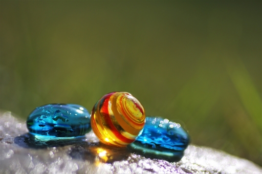 2017-12-30 yuma
yuma [Macro et proxiphotographie nature]
