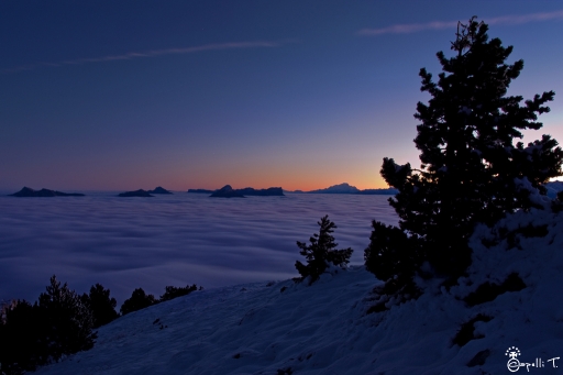 2012-11-16/NeroPsylo
Par NeroPsylo dans [ Coucher / Lever de soleil ]
