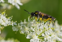 Nom du fichier=140522090754905938.jpg
Taille du fichier=323Ko
Dimensions : 1024x706
Ajouté le : 22 Mai 2014 140522090754905938.jpg